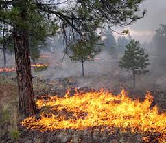 Photo: US National Park Service