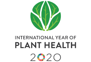 IYPH2020-logo